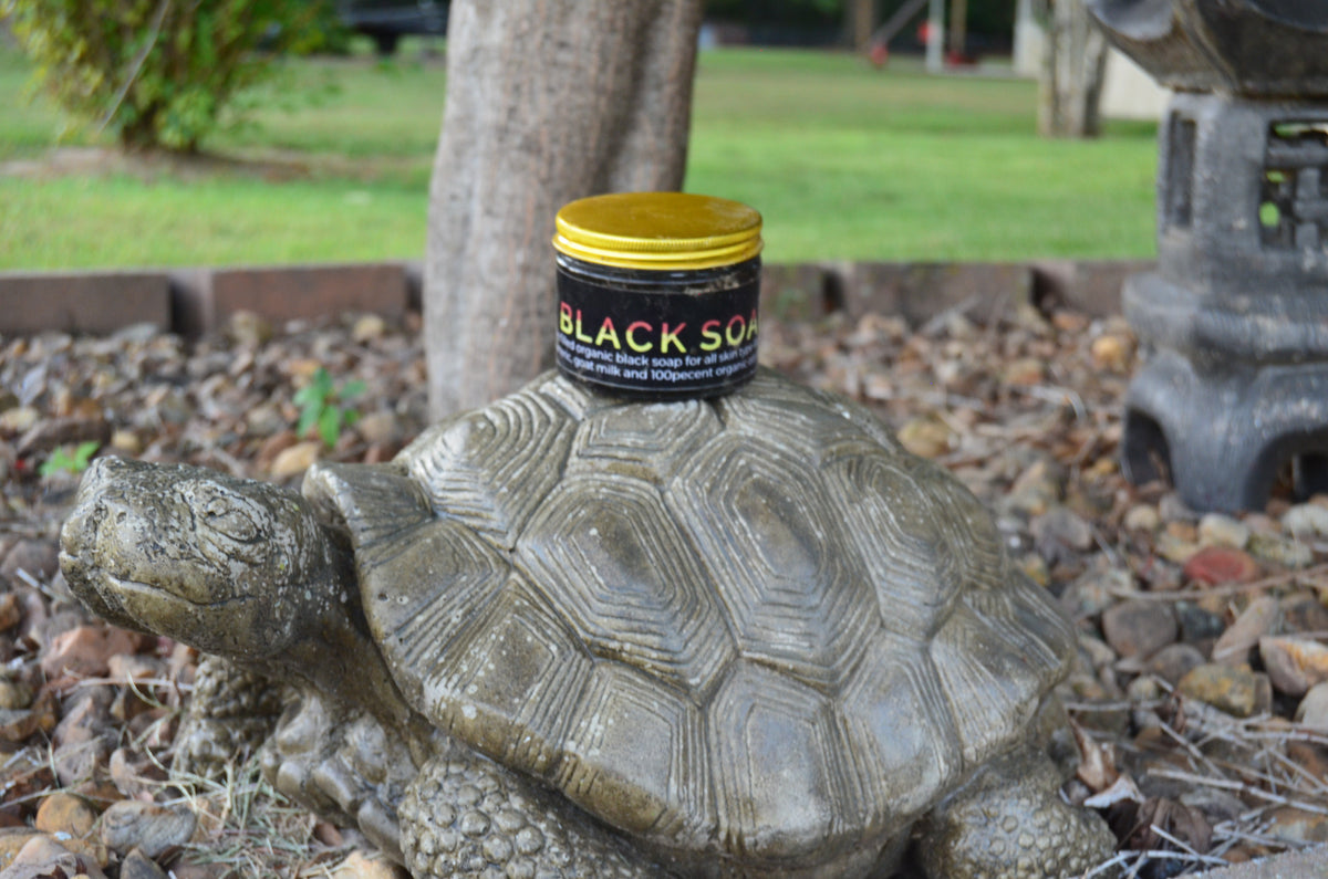 Honey Baked Black Soap (500ml)